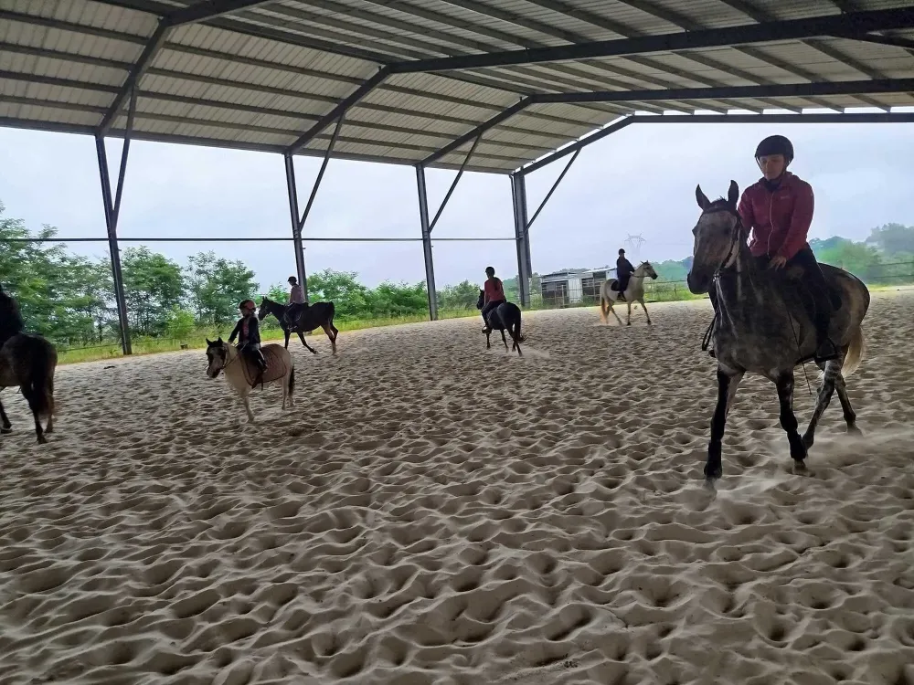 Découverte du Horse Ball