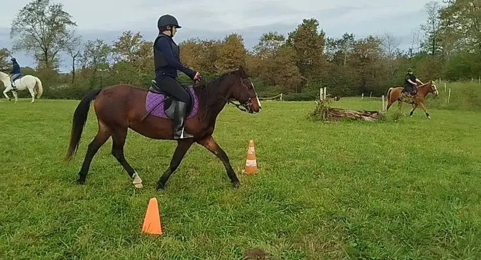 cours colletifs trec