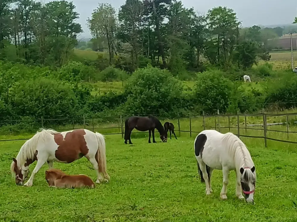 481165403_1086409279957350_7446802397782010711_n