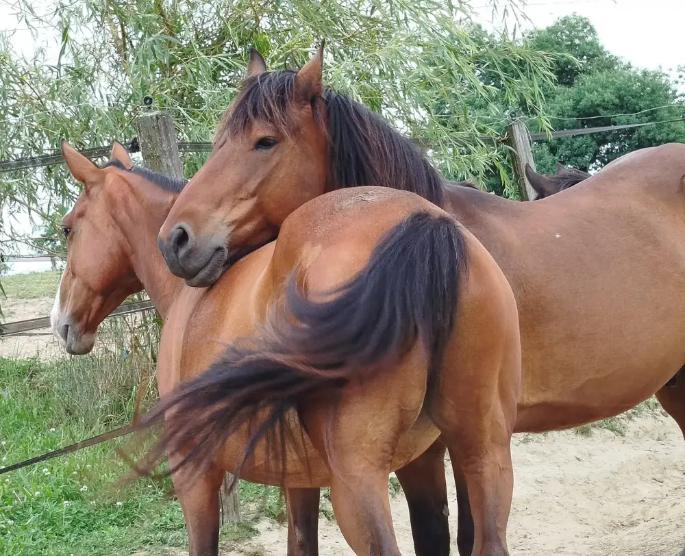 481247665_1092564209341857_7169013607798523581_n