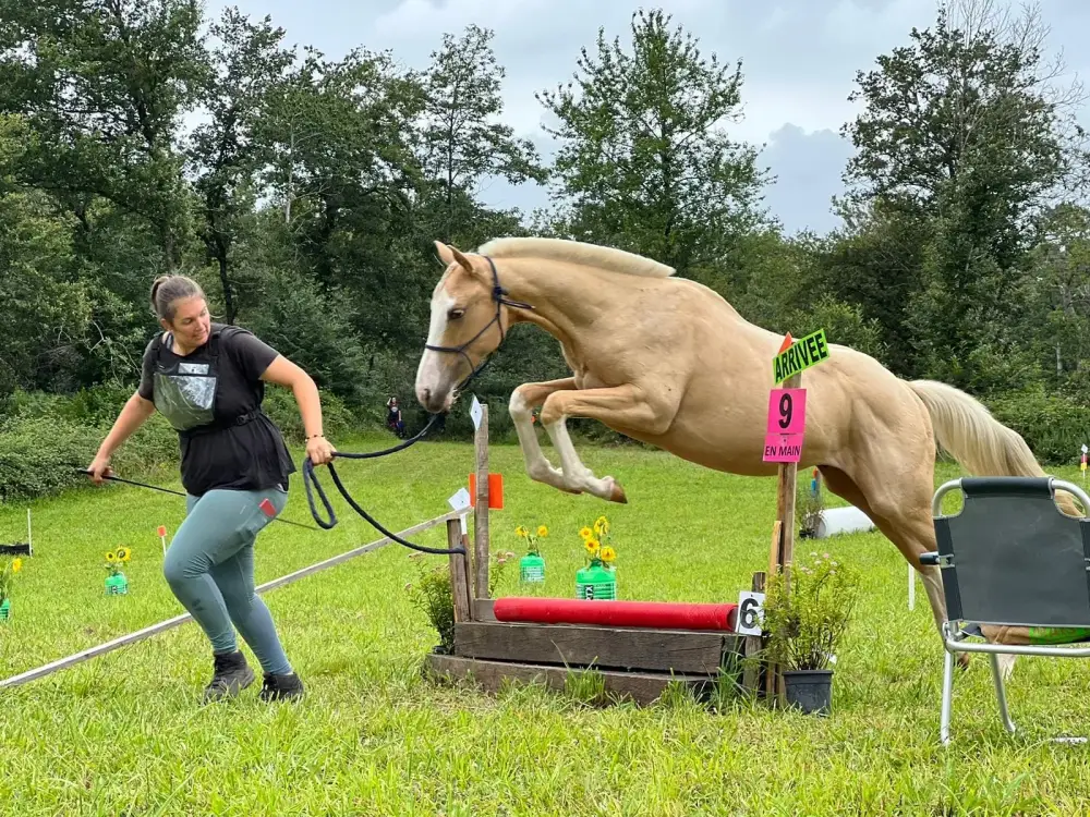 481282516_1086611219937156_8060901174788835855_n