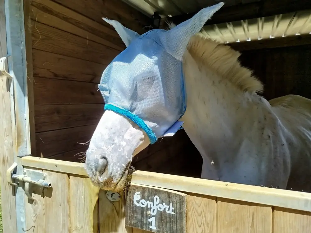 481950568_1093173385947606_6946828923638904003_n