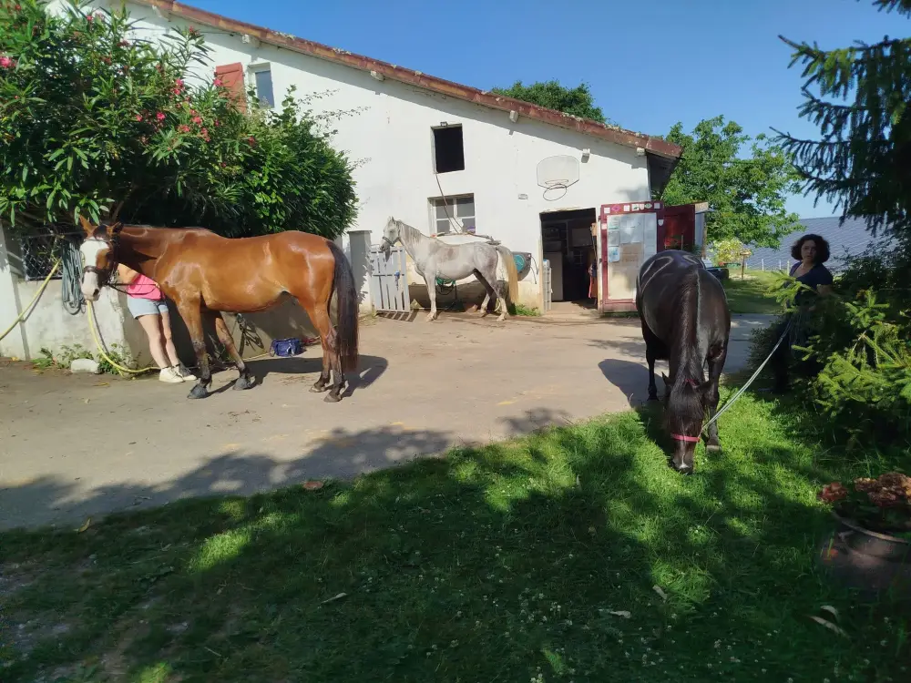 501380446_1157286942869583_4199333806927955246_n