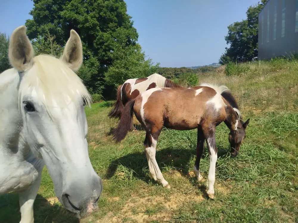 515039570_1183696960228581_401394841328941117_n