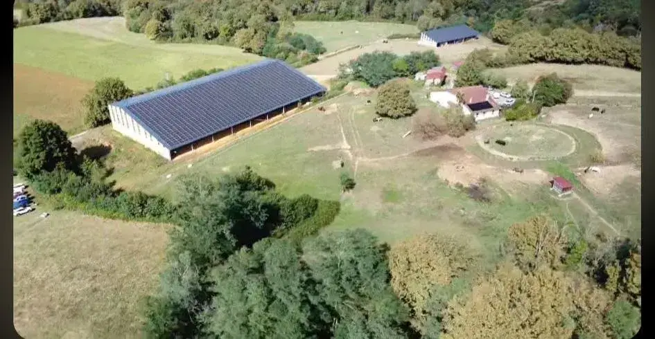 556027554_1252456856685924_6401531455866418321_n