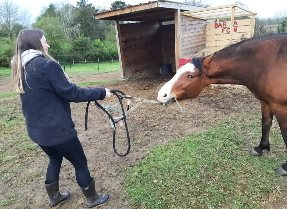 564141965_1267713725160237_8804375663869934479_n