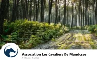 cavaliers de mandosse