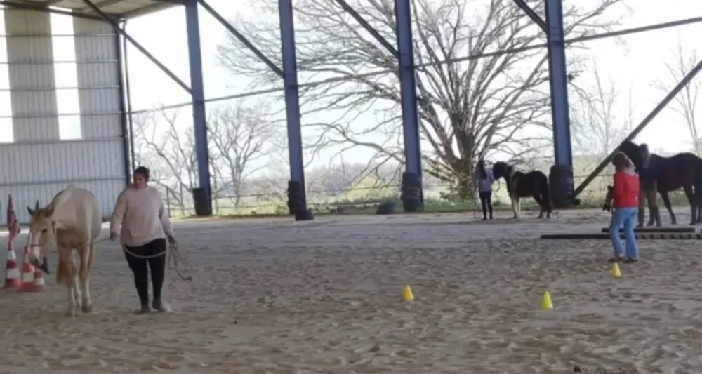 stage equifeel mars 2026